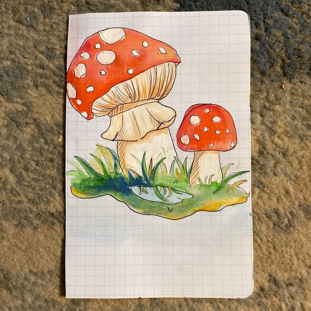 Mushrooms in nature drawing, WATERCOLOR